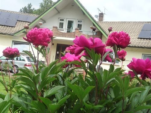 Linchens Bed And Breakfast Felbridge Ngoại thất bức ảnh